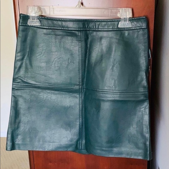 The Limited skirt - Picture 1 of 6